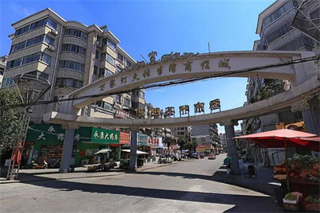 正大文苑2室1厅1卫78㎡带车库